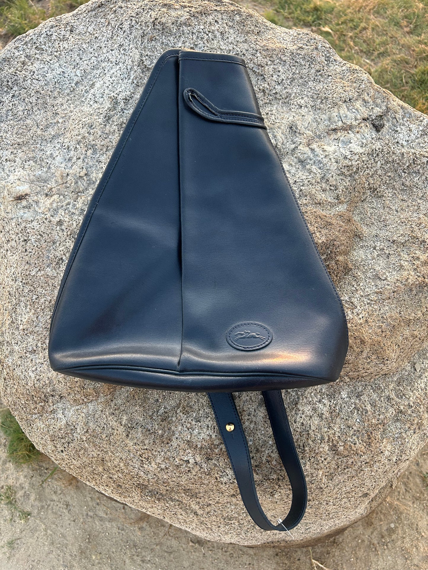 Longchamp Leather Backpack