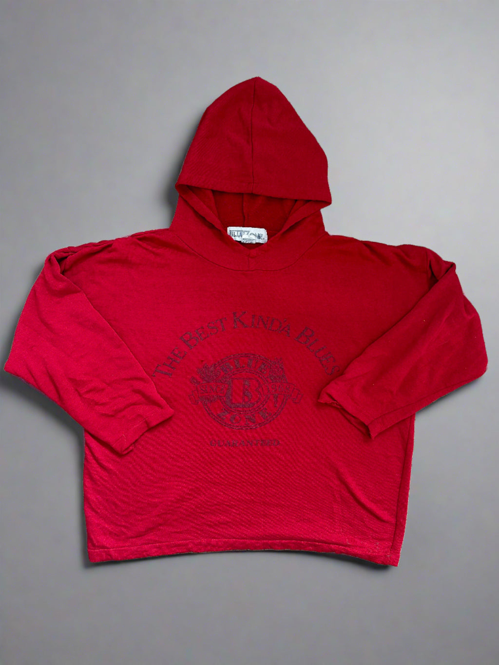 Vintage "Blue Zone" Hoodie - Size M