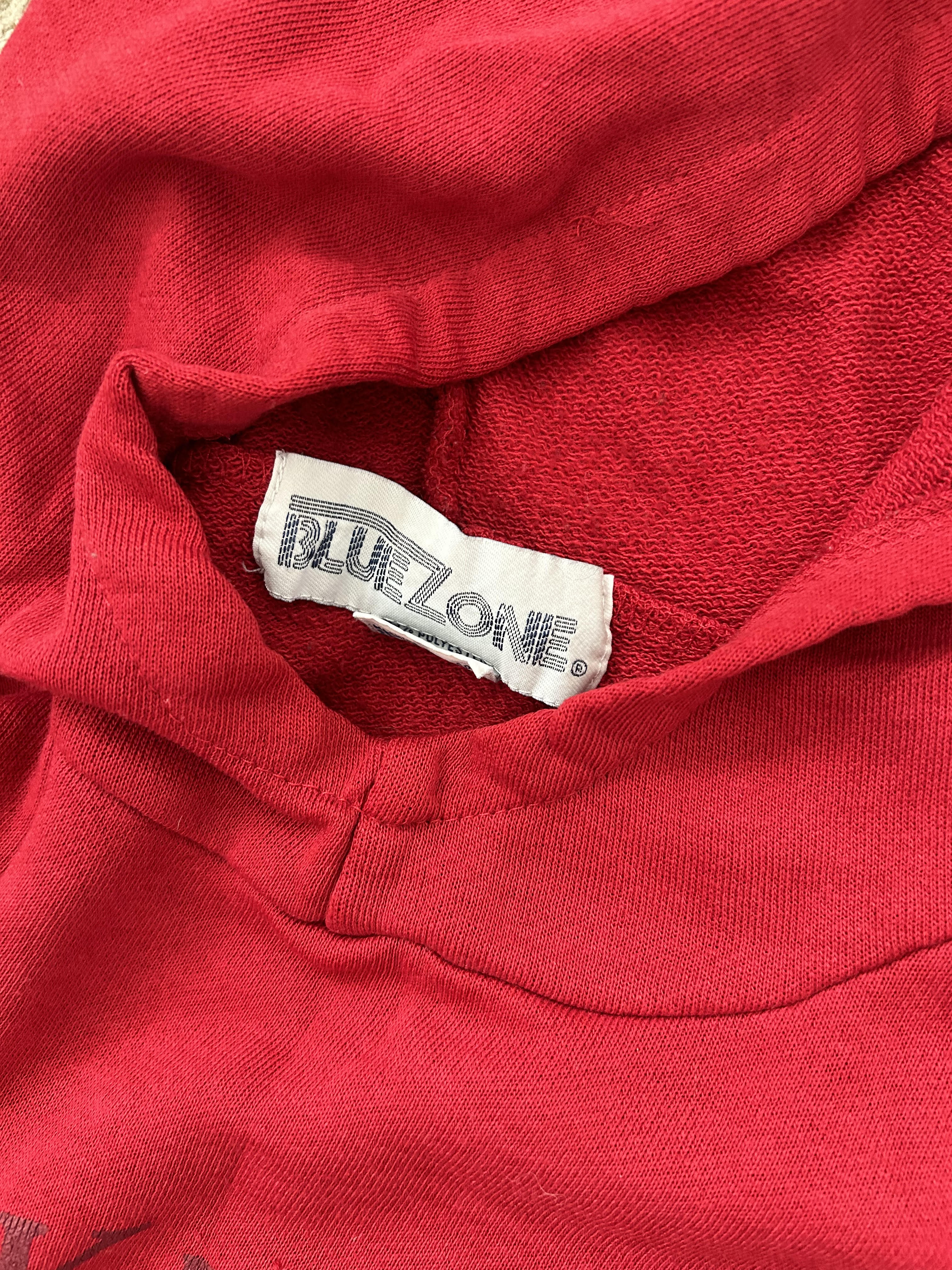 Vintage "Blue Zone" Hoodie - Size M